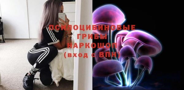 МДПВ Богородицк