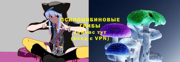 МДПВ Богородицк