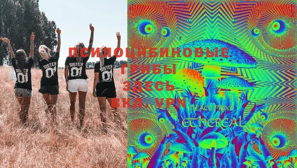 марки lsd Богданович